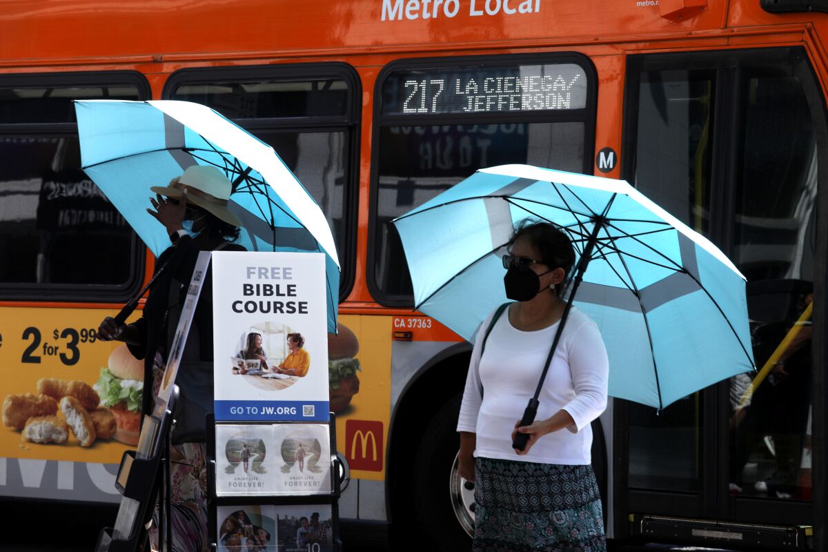 People stand under umbrellas near a bus.