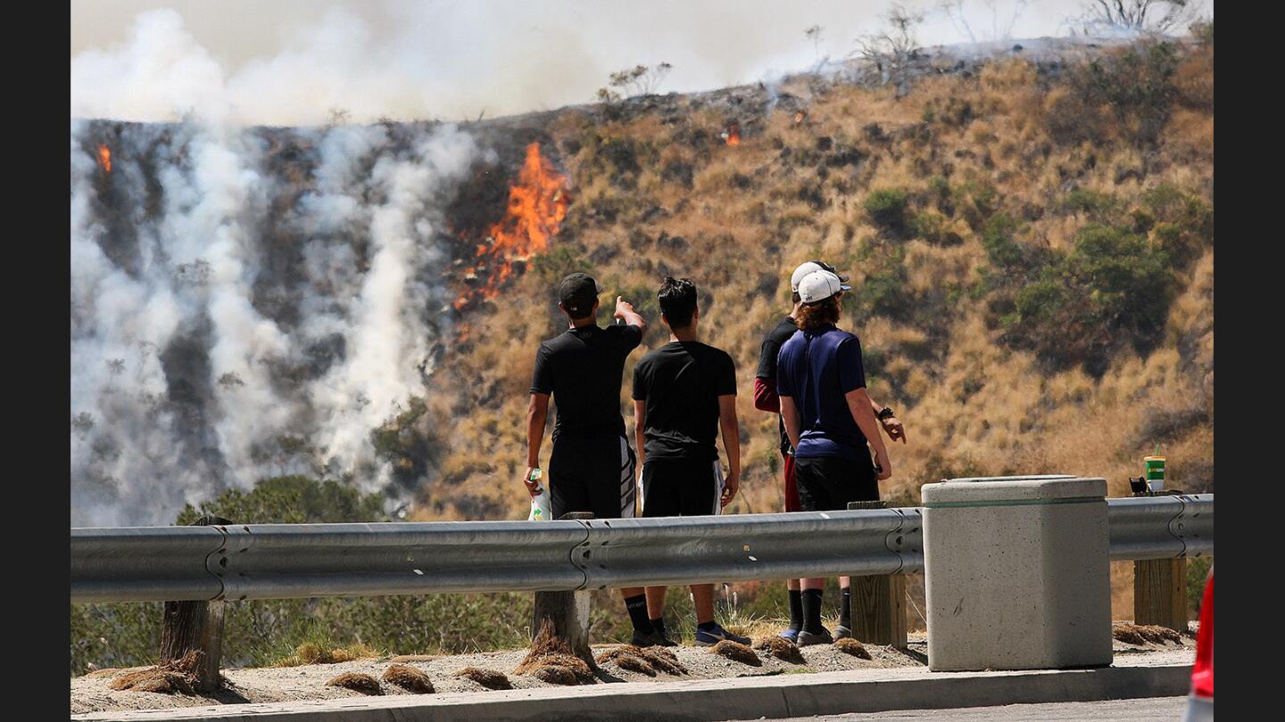 Photo Gallery: Brush fire above Hamline Place in Burbank foothills