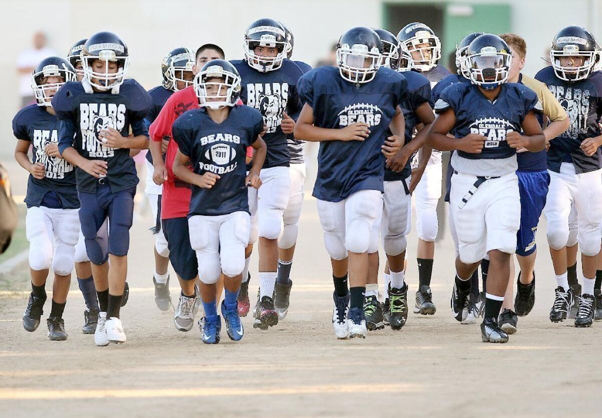 The Glendale Bears youth football team is hoping for a 2013 season filled with success, fun.