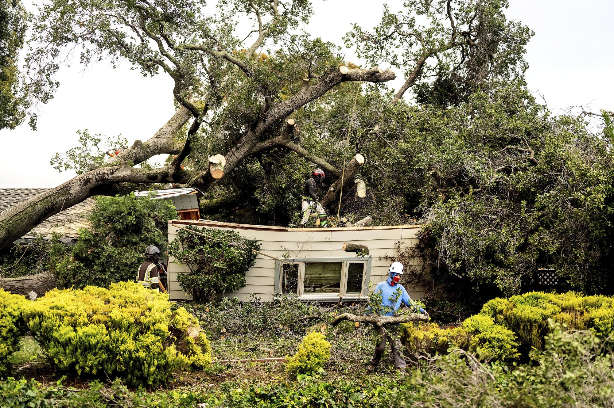 Workers clear a tree that fell onto a home during heavy wind and rain on Sunday in San Jose