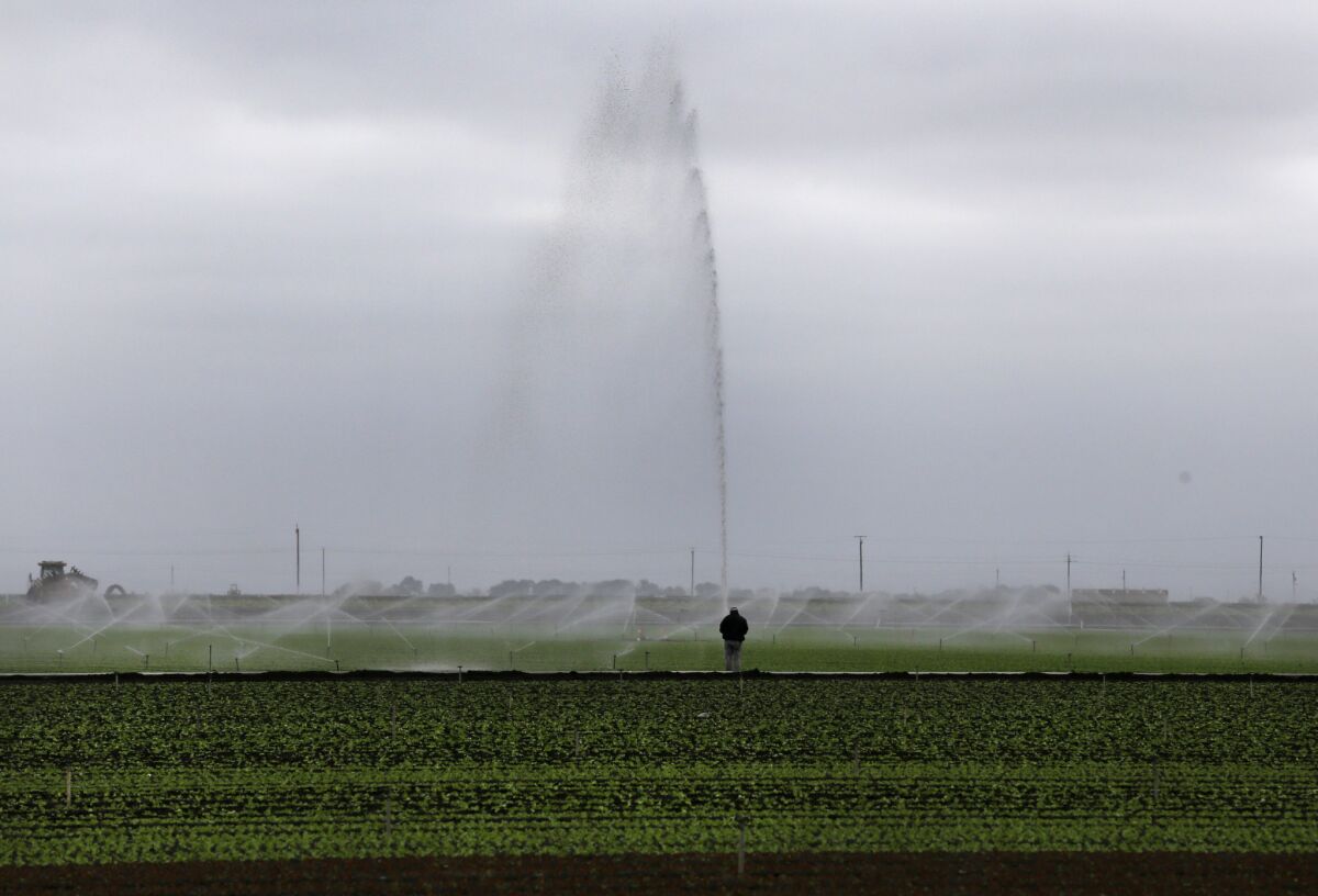 Sprinklers water a field outside Salinas. A proposed ballot measure would use bond money earmarked for California's high speed rail project and use it for new water projects.