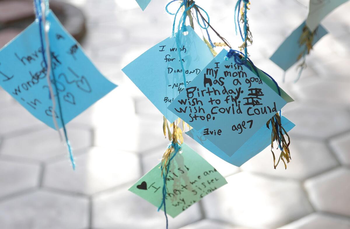 One of over a thousand messages on the Sherman Library & Gardens wishing tree this holiday season.