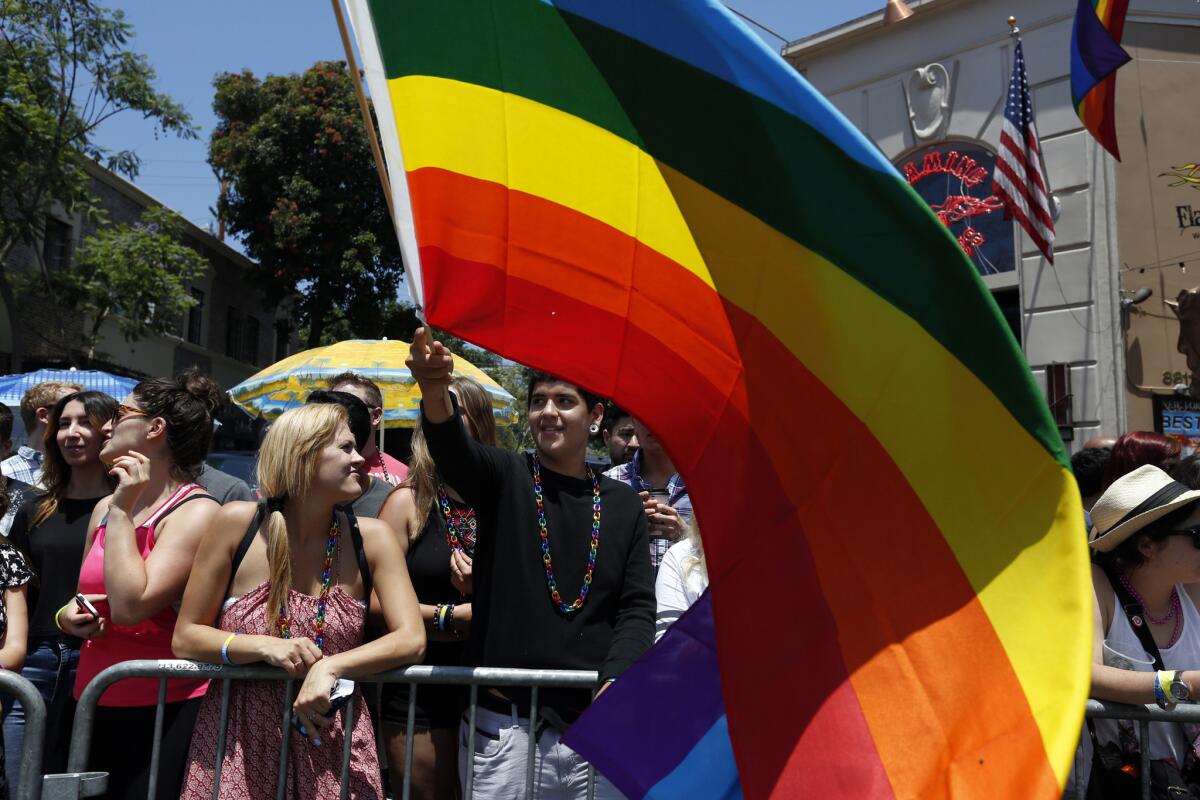 Mason Hernandez, 16, center, of Simi Valley, waves a gay pride flag. Thousands flocked to West Hollywood June 14 for the L.A. Pride Parade, an annual celebration of the gay, lesbian, bisexual and transgender community.
