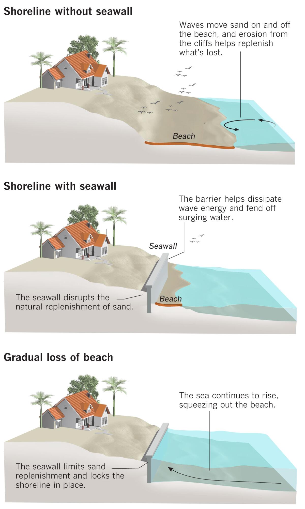 Graphic showing the effect of a seawall on a beach