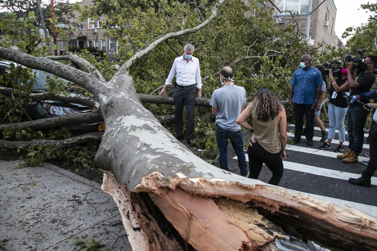 New York City Mayor Bill de Blasio talks with residents next to a fallen tree