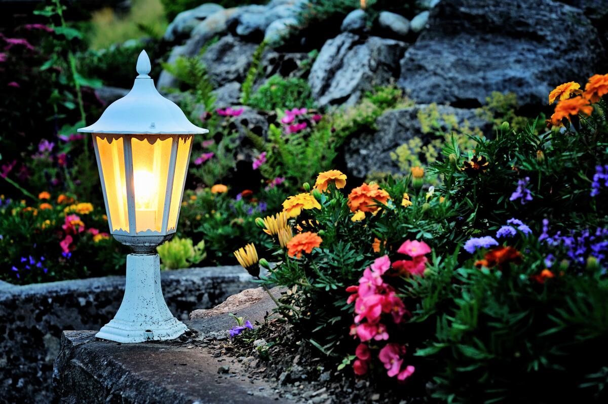 A lamp in a garden provides lighting that is directed downward.