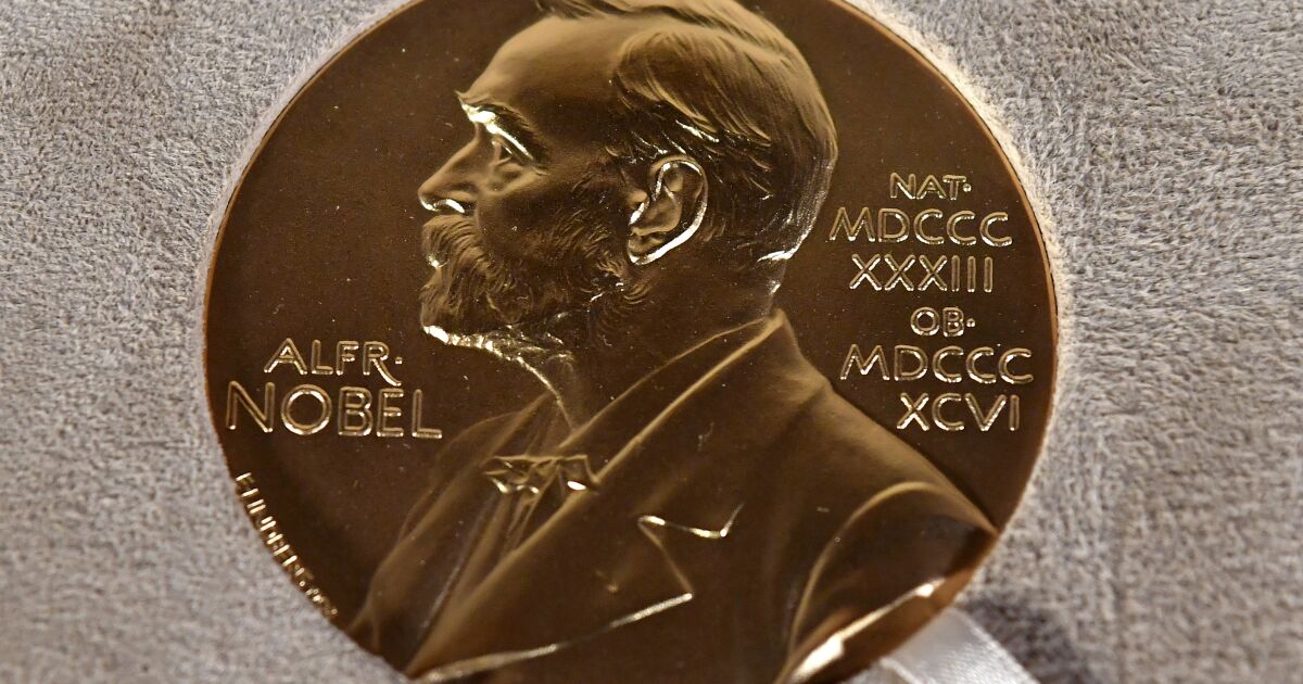 There are 305 nominees for the Nobel Peace Prize