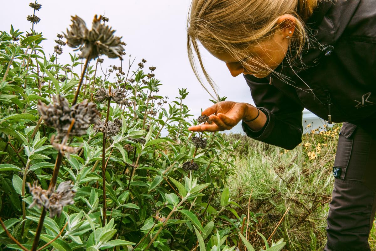 A woman bends down to get close to plants growing in the ground