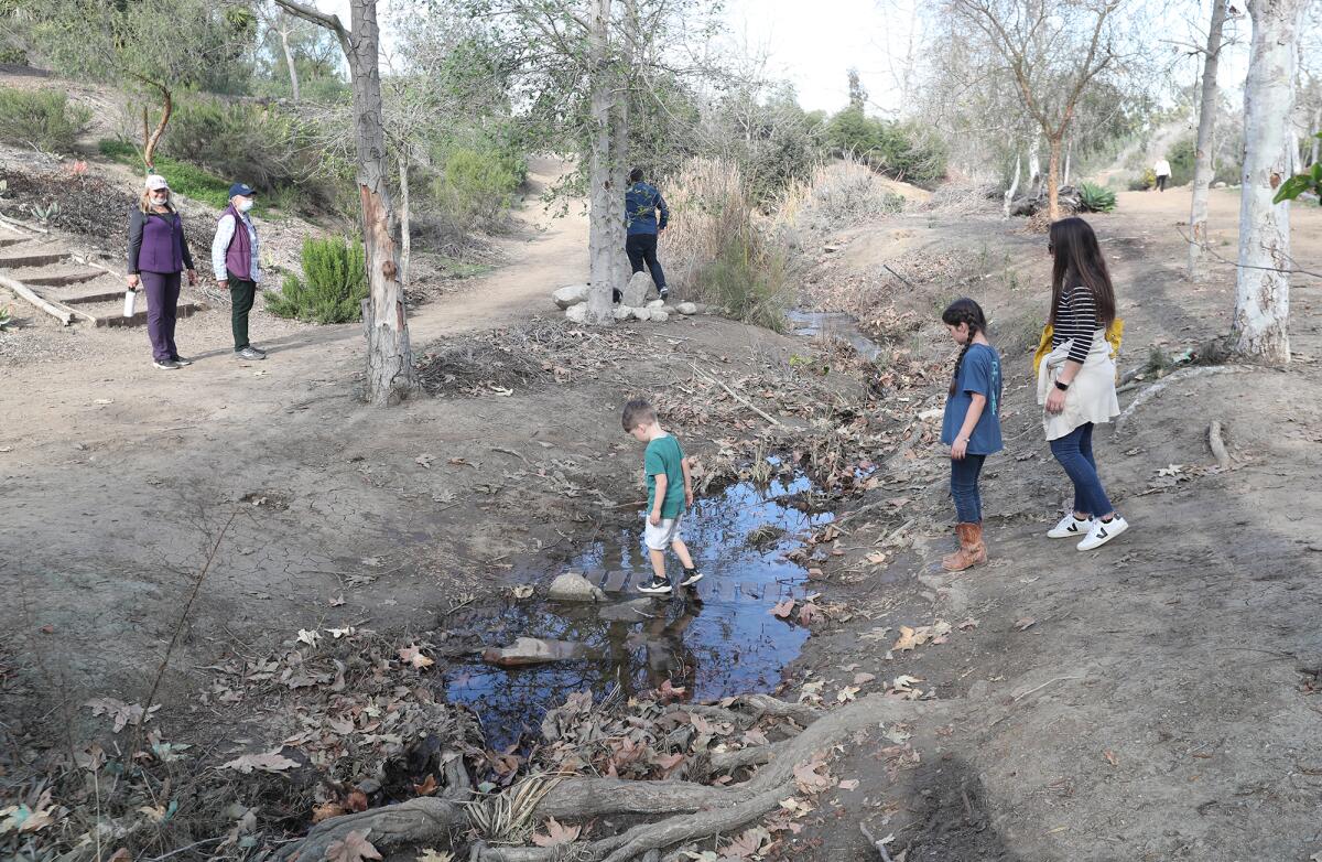 Visitors cross a temporary, homemade bridge across the creek in the Urban Forest in Huntington Beach.