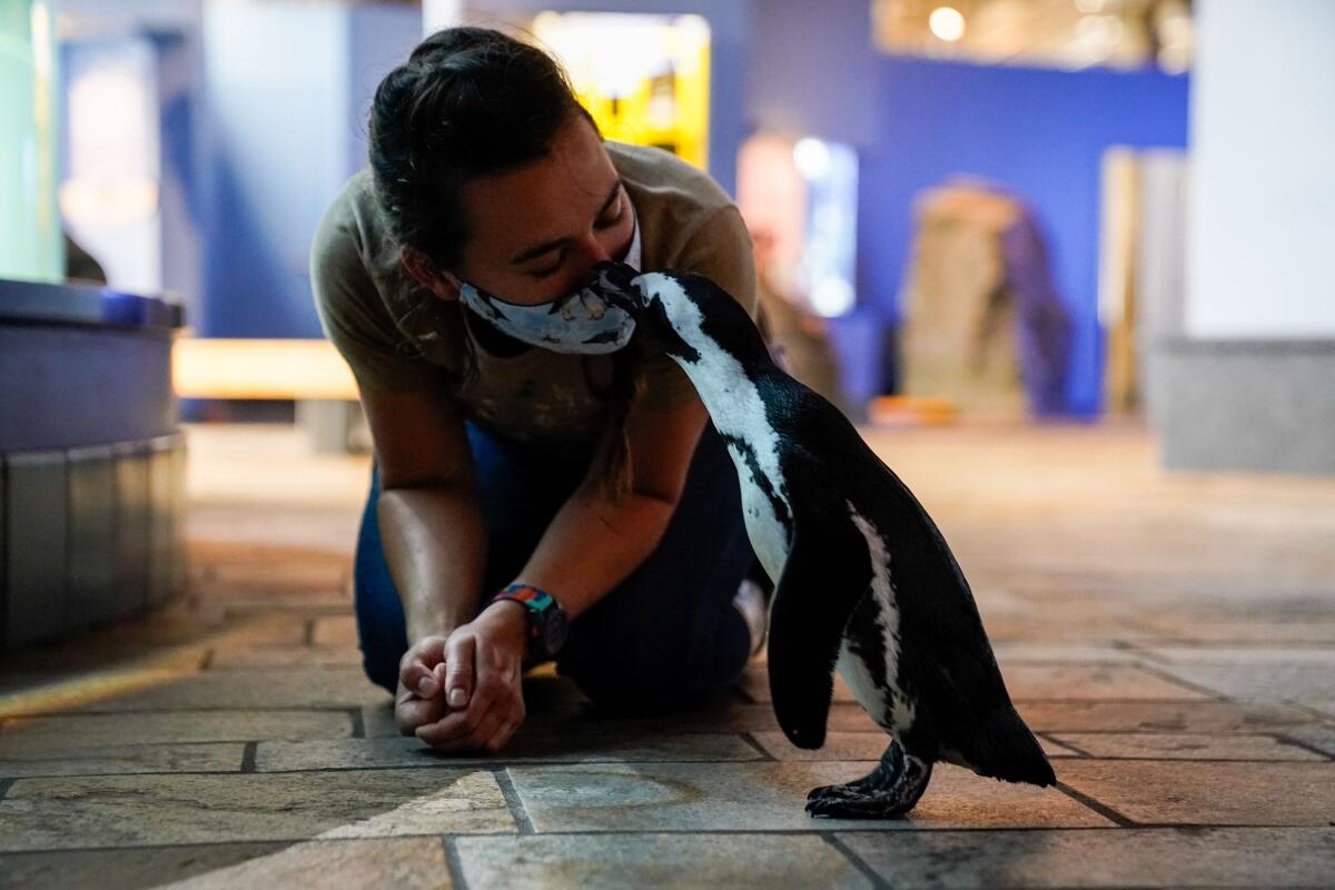 A penguin kisses a woman.
