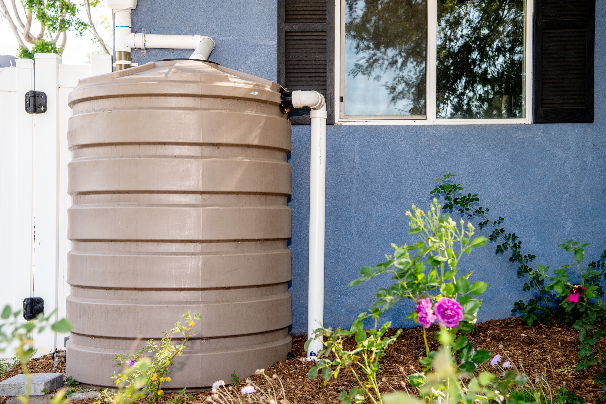 A rainwater barrel in front of the house 