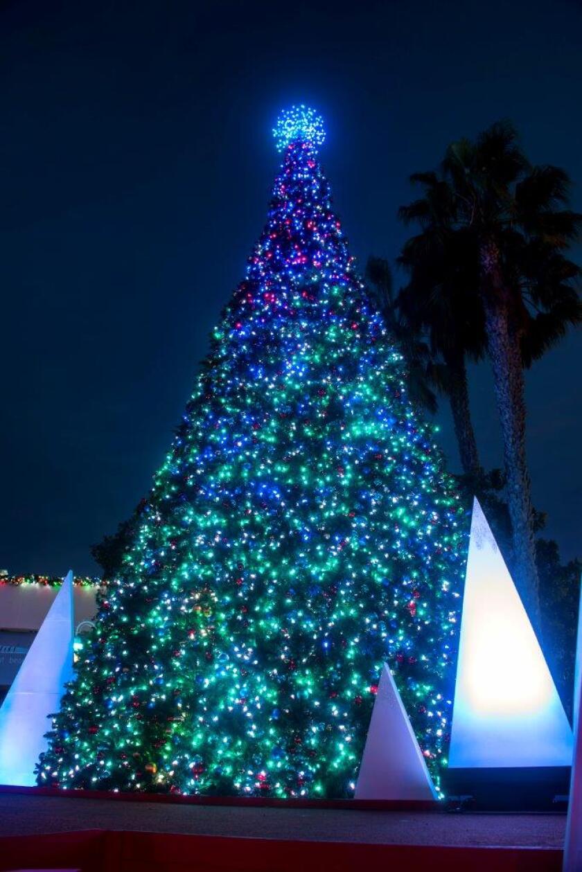 public christmas events san diego 2020 for december 23 Your 2019 Guide To Christmas Tree And Menorah Lightings Around San Diego County The San Diego Union Tribune public christmas events san diego 2020 for december 23