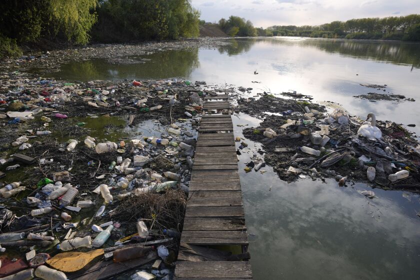 ARCHIVO - Un montón de basura en el río Danubio, en Belgrado, Serbia, el 18 de abril de 2022. (AP Foto/Darko Vojinovic)
