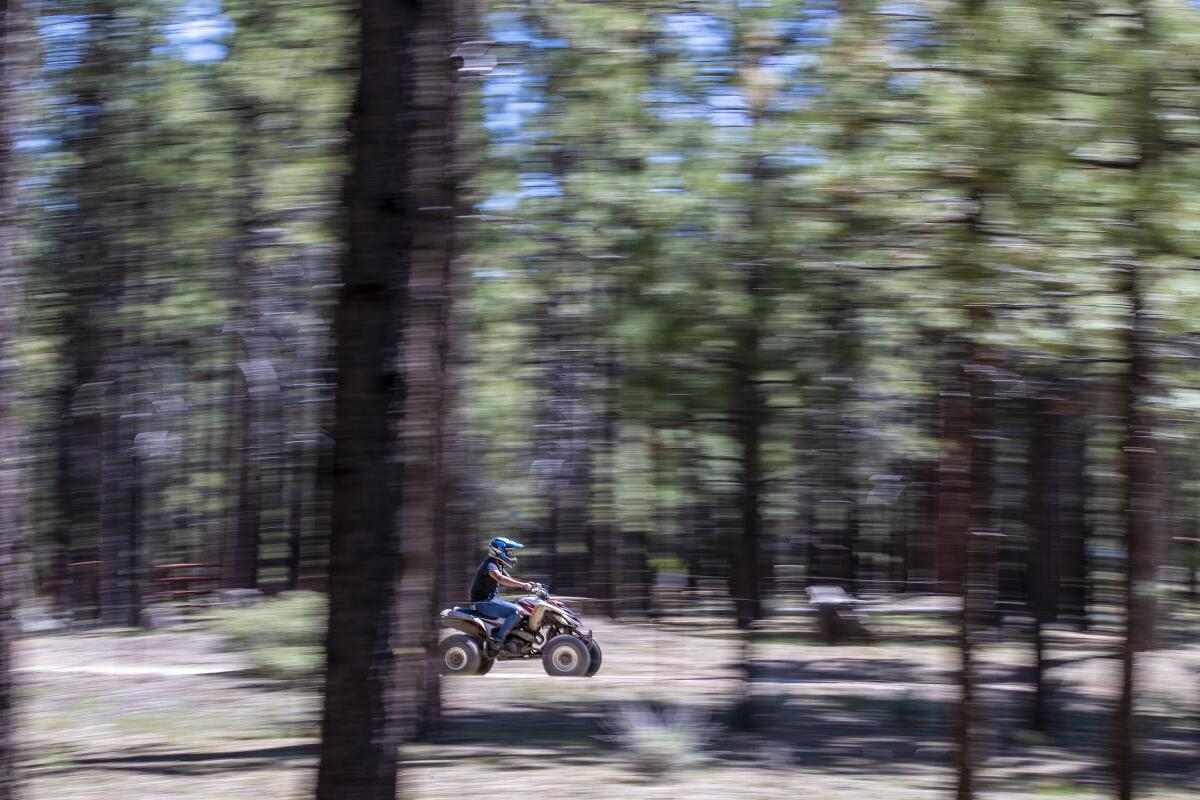 Taylor Duby of Escondido pitches a tent at Holcomb Valley Campground. 