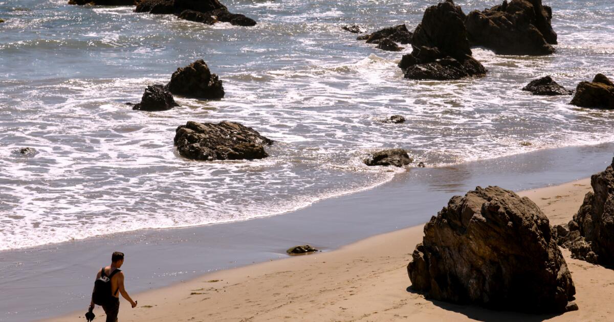 TikTok movies reignite debate over entry to California seashores