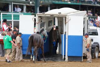 LOUISVILLE, KENTUCKY - MAY 06: Here Mi Song is lead into a equine ambulance after racing in the tenth race.