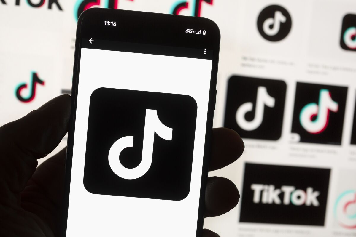 The TikTok logo is seen on a cellphone