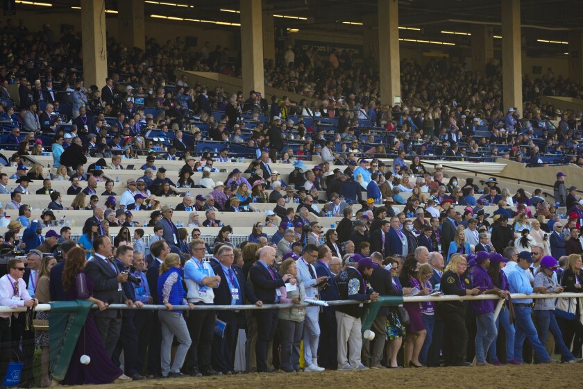 A crowd of more than 26,000 attended Saturday's second day of Breeders' Cup races at Del Mar.