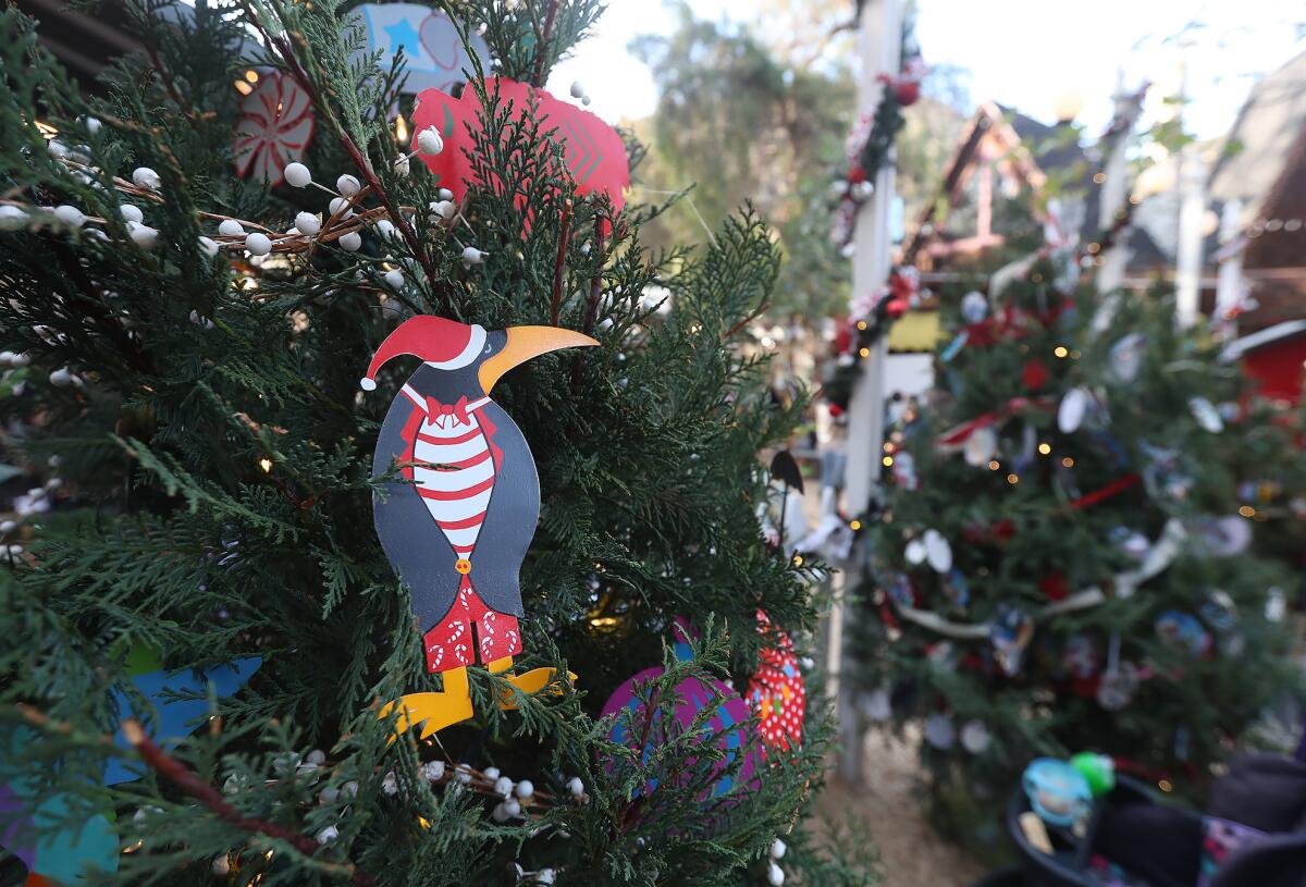 Christmas trees donated and decorated by local nonprofits at Sawdust Winter Fantasy festival.
