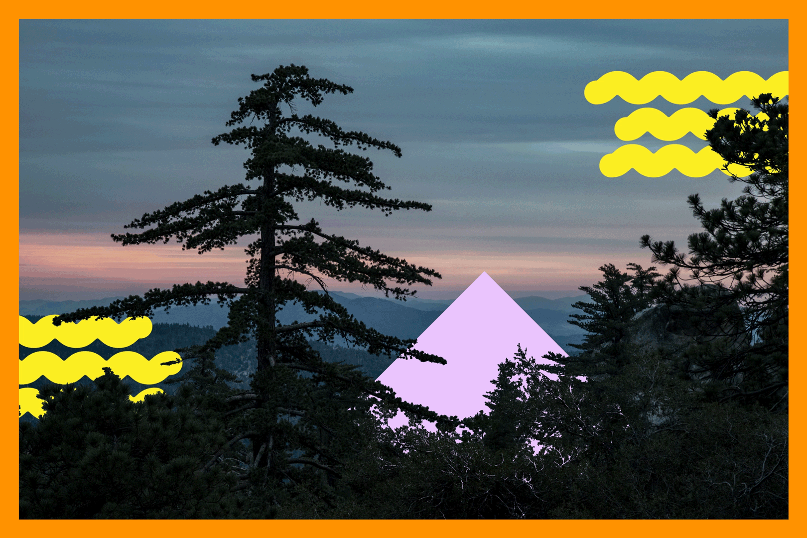 A pine tree in silhouette in the foreground with the sun setting behind the mountains in the background