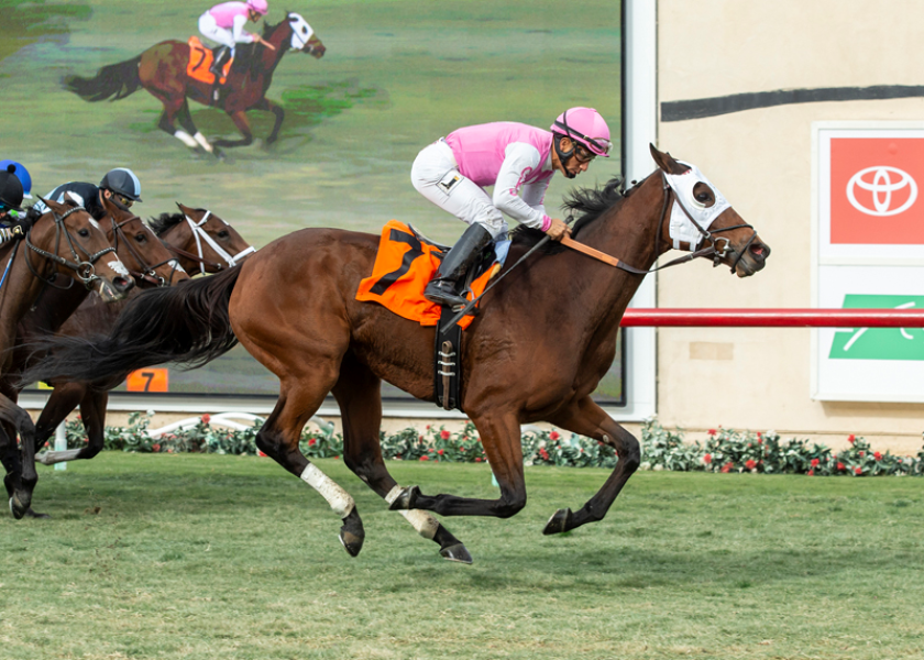 Racing An Early Look At Kentucky Derby Favorites Los