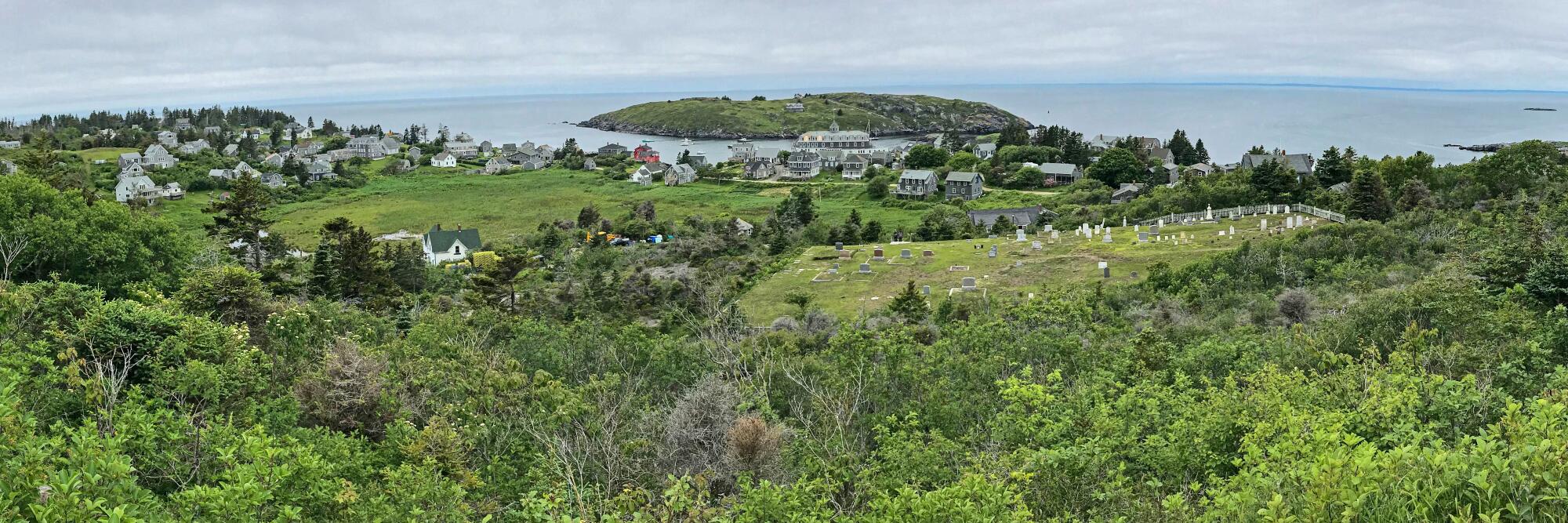 Monhegan Island, Maine, with a landscape of trees, homes and the ocean.
