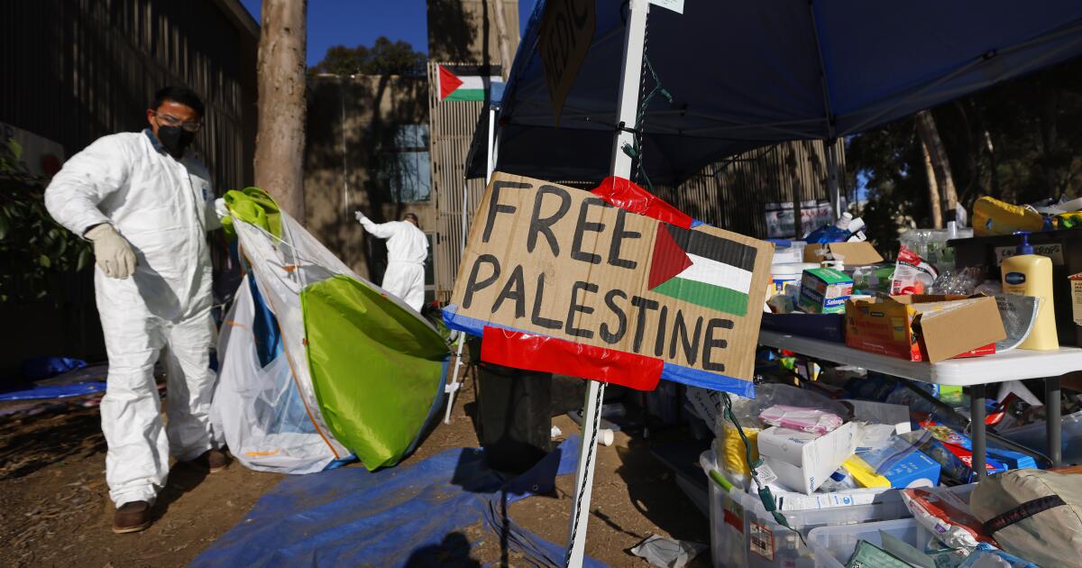 The police crackdown on pro-Palestinian protests at UC San Diego has drawn criticism