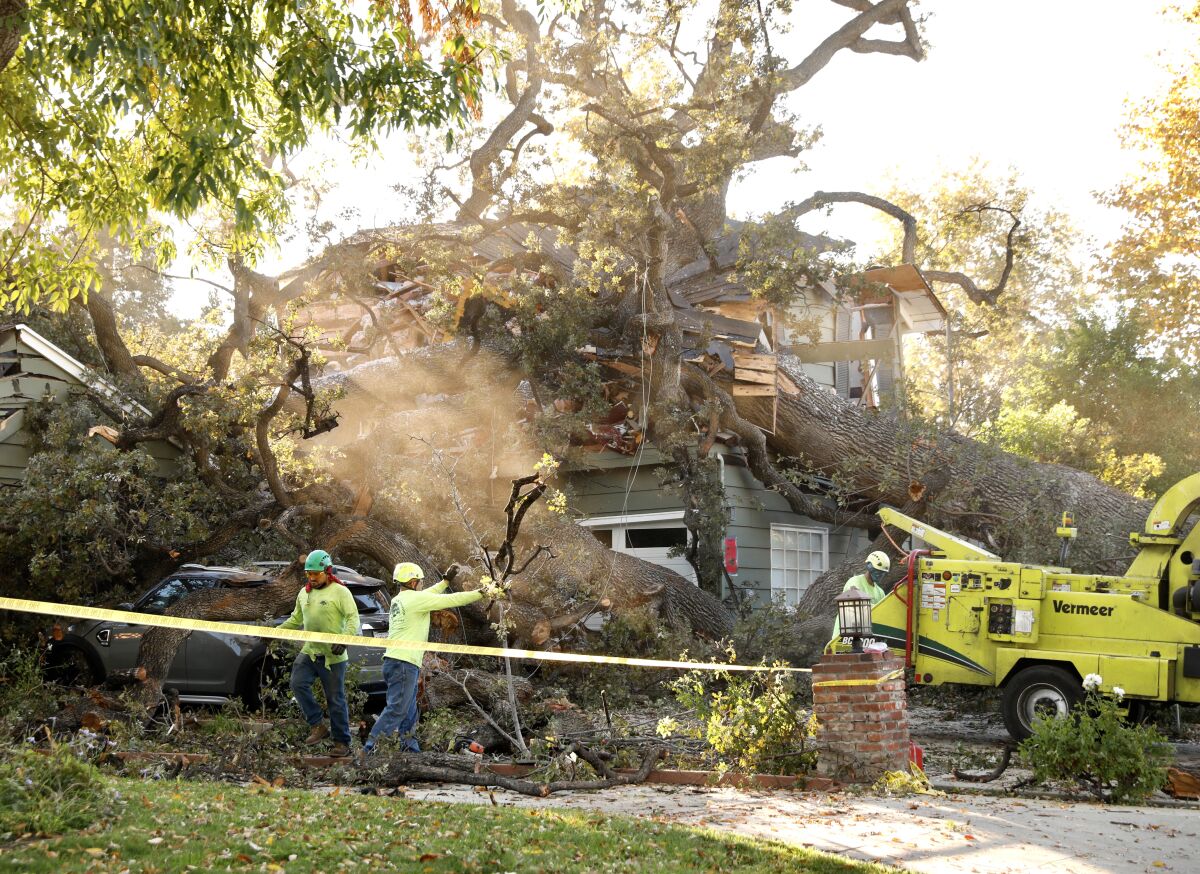 A work crew begins removing a large tree that fell onto a home 