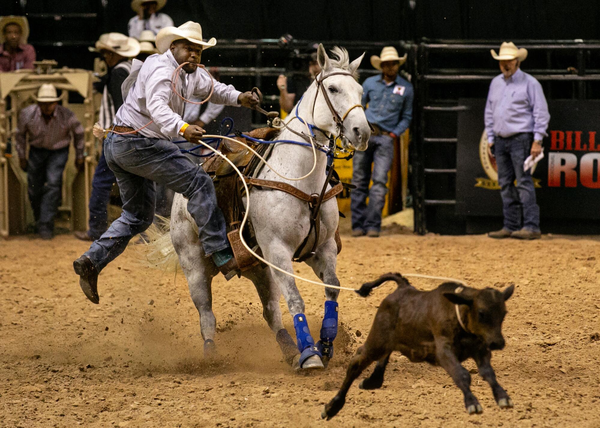 A cowboy jumps off his horse and runs after a lassoed calf in the calf roping competition.