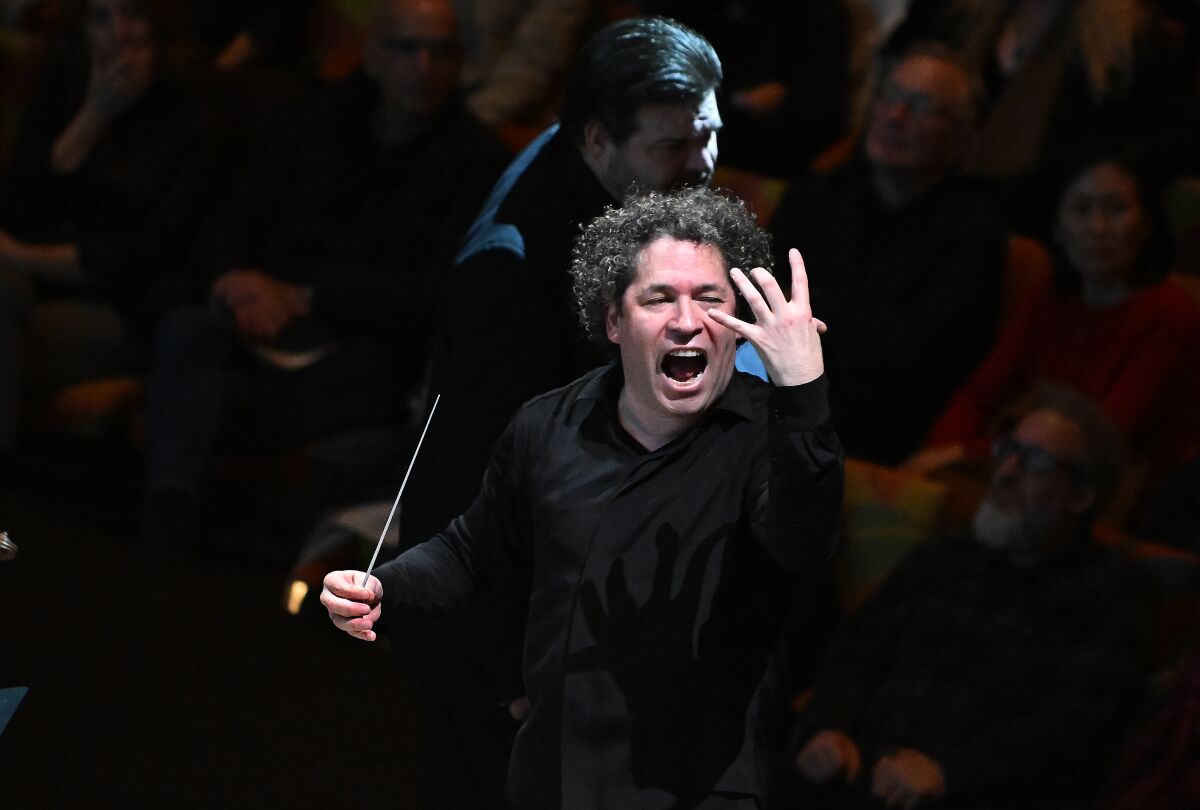 A music conductor dressed in black.