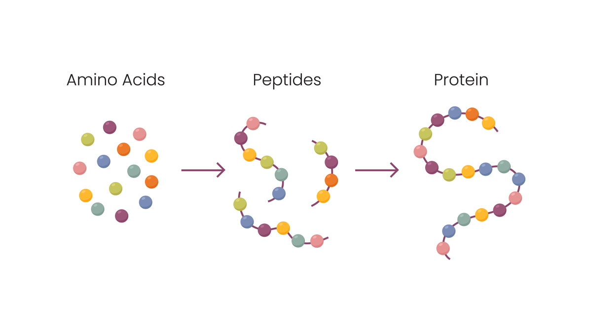 Peptides, Drugs And Supplements: Science, Risks, And Alternatives - Los Angeles Times Peptides, Drugs And Supplements: Science, Risks, And Alternatives - Los Angeles Times