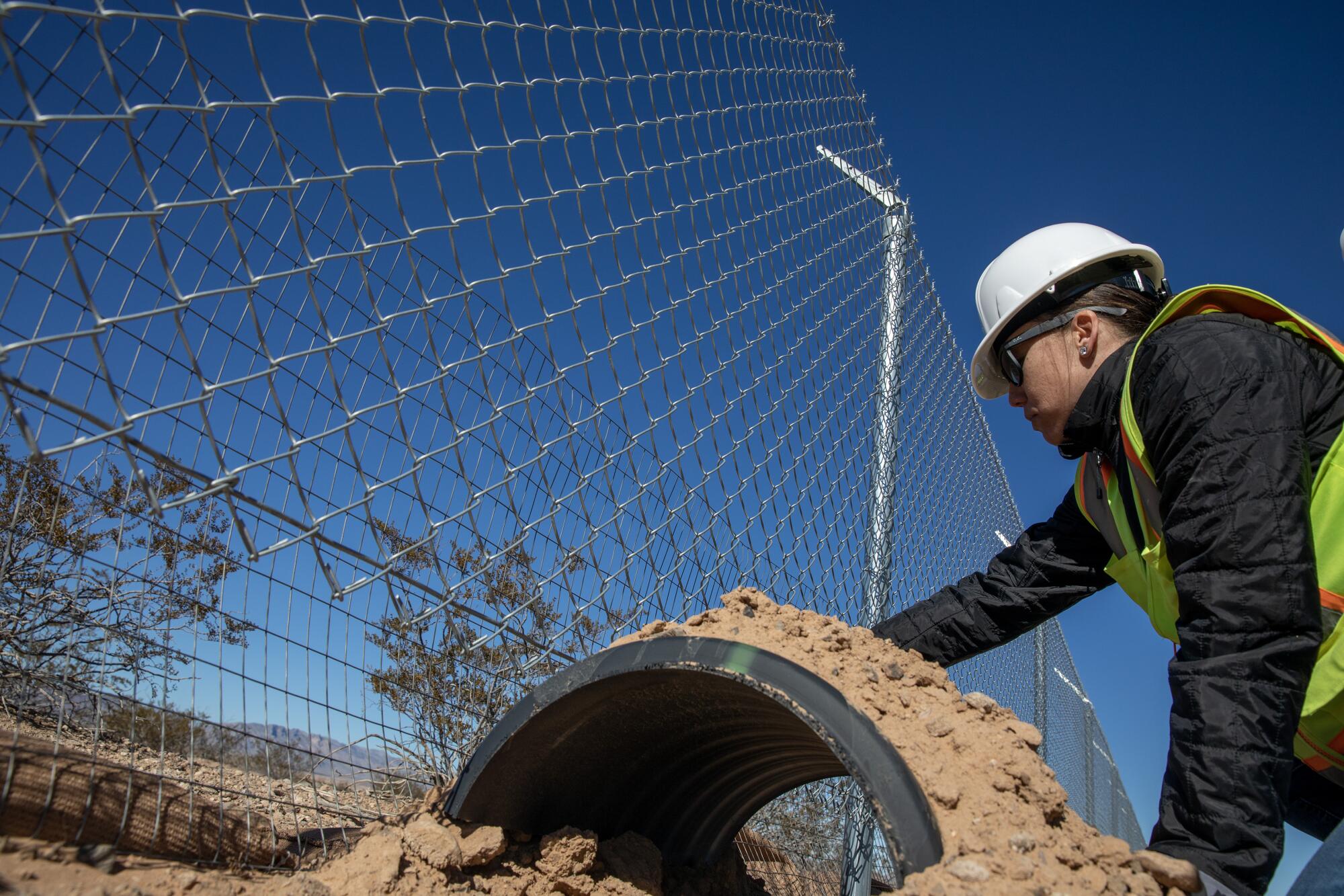 Biologist Bre Moyle examines a shade shelter for desert tortoises at the Gemini solar project.