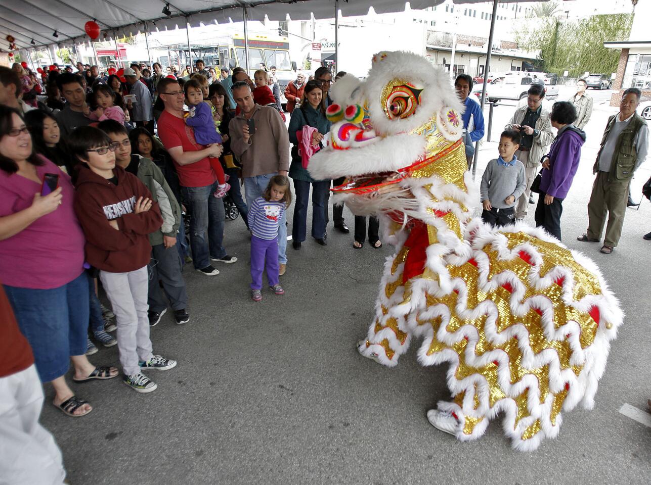 Members of the San Gabriel Valley Chinese Cultural Association perform the Lion Dance for a large crowd during the Third Annual Lunar New Year Festival at the Pacific Asia Museum in Pasadena on Saturday, February 2, 2013.