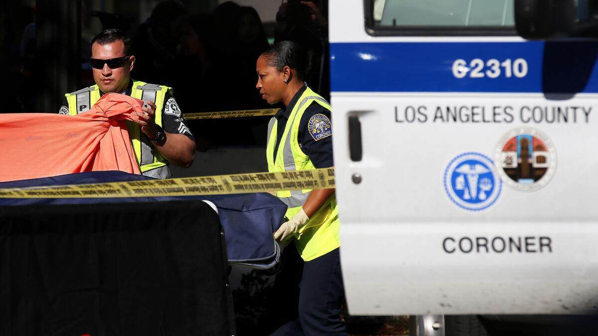 A person from the Los Angeles County Coroner's office removes the body of a student who was killed in a vehicle versus pedestrian accident on Tuesday, Dec. 15, 2015.
