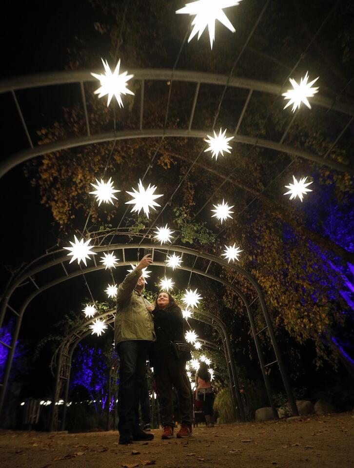 Photo Gallery: Descanso Gardens Enchanted Forest of Light