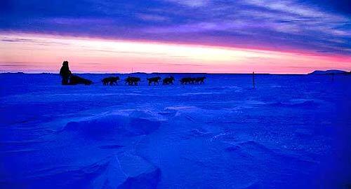 LONELY TREK: Hugh Neff of Skagway, Alaska drives his dog team on the frozen Bering Sea at sunset toward the finish of the Iditarod dog race in Nome, Alaska on Wendesday. Jeff King of Denali Park, Alaska won the race.