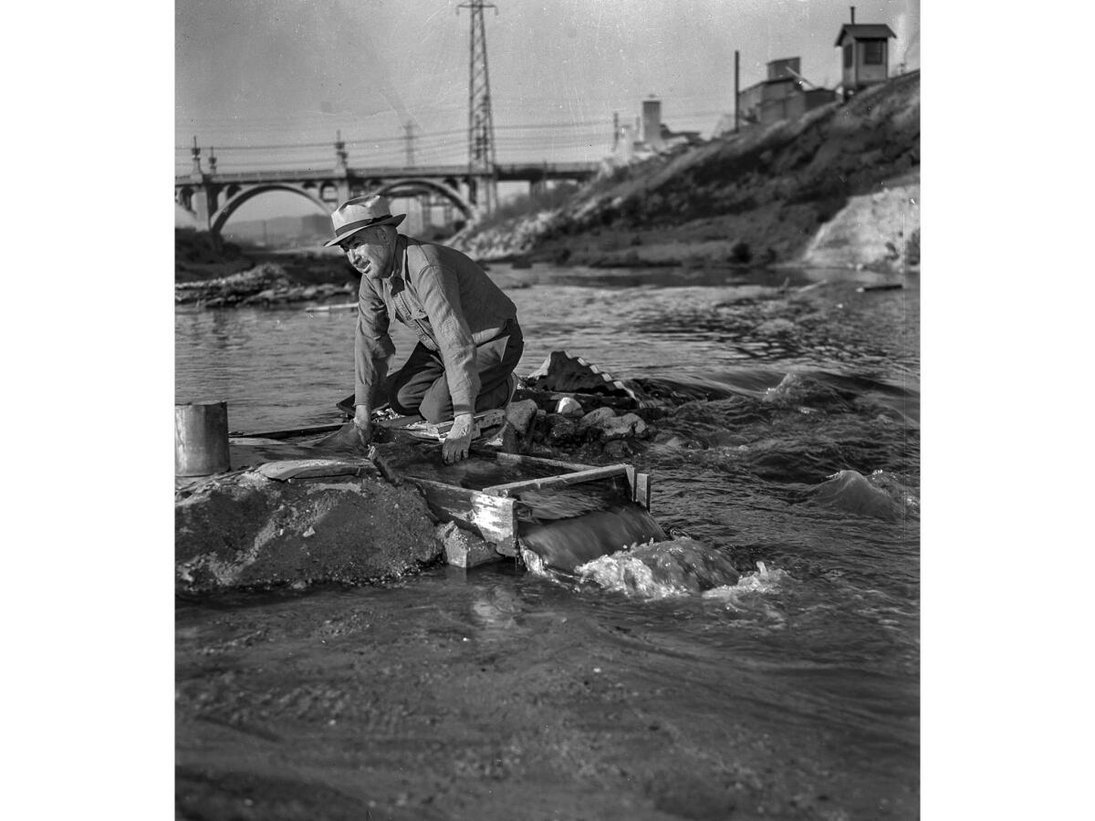 Dec. 11, 1938: Antonio Chacon uses a sluice box to look for gold in the Los Angeles River. Chacon supports a family with four children with his diggings.