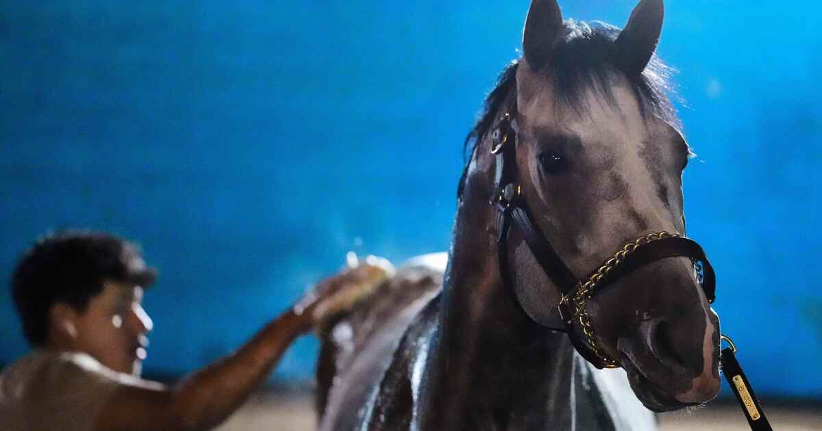 Fulleffort is latest scratch from Kentucky Derby field, Ocelli gets added