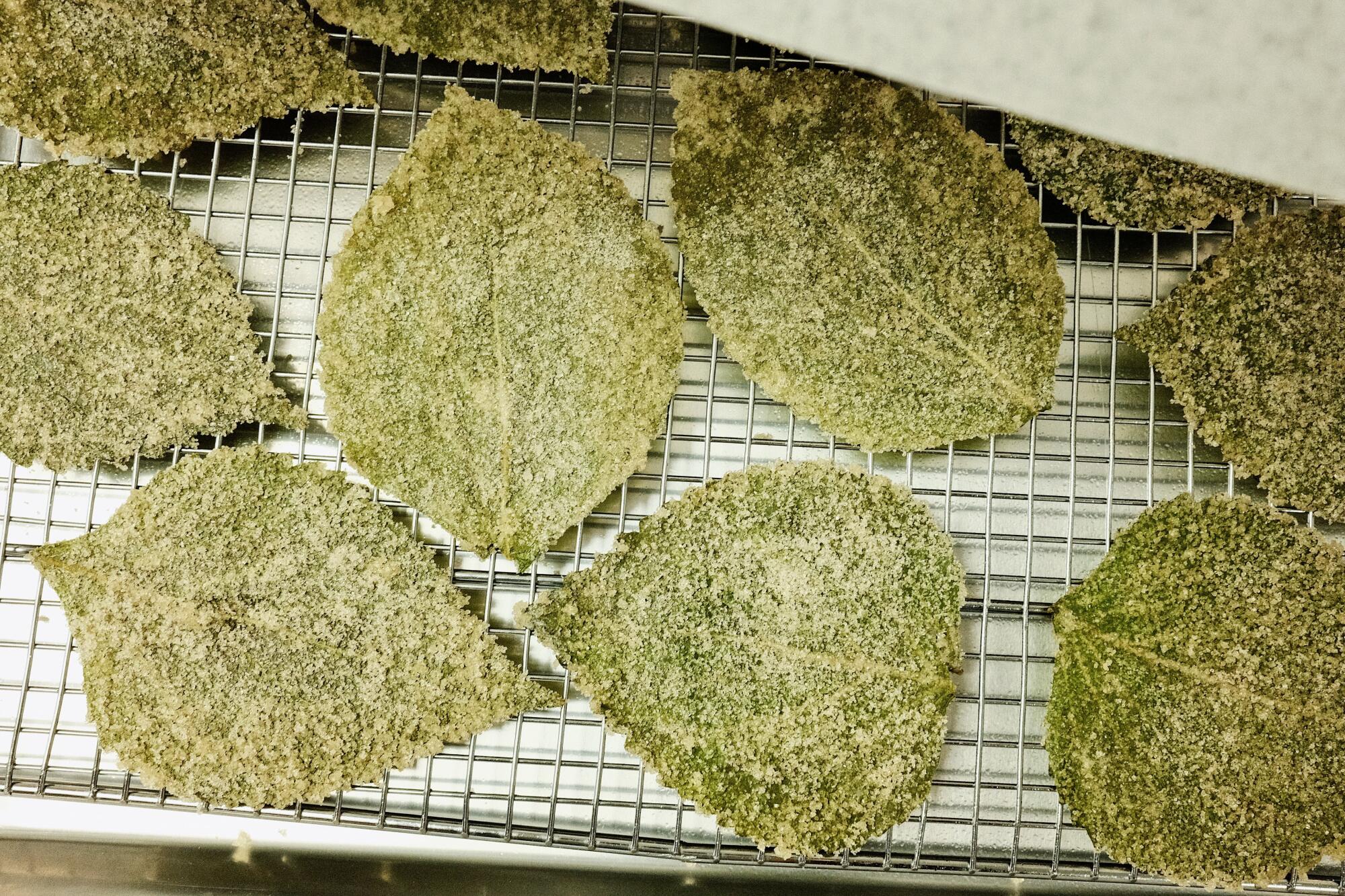 Sugared whole perilla leaves on a silver tray in the kitchen of Highland Park cafe Modu.