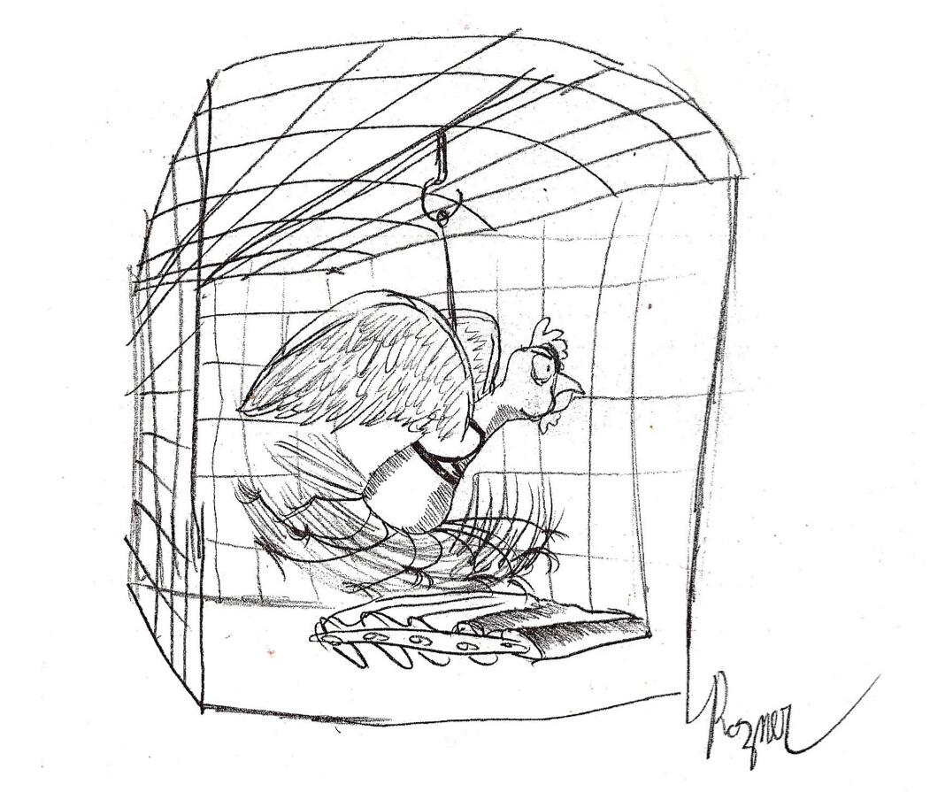 An illustration of a bird on a treadmill by Lawrence Rozner