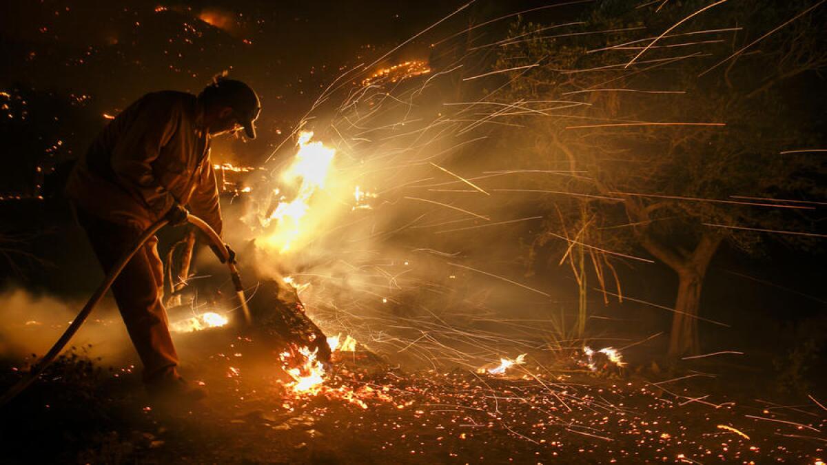 A Kern County firefighter tries to extinguish as much flame as possible inside a burning tree trunk near Lake Isabella, Calif., on Thursday night