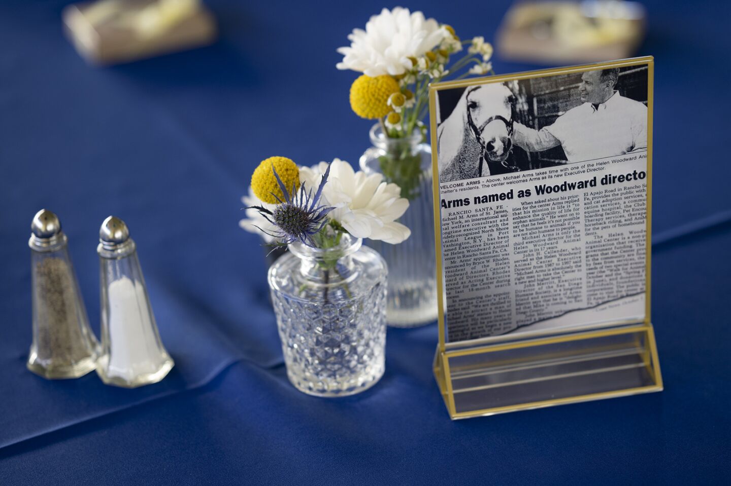 Helen Woodward Animal Center's 50th Anniversary celebration began with a brunch at the center