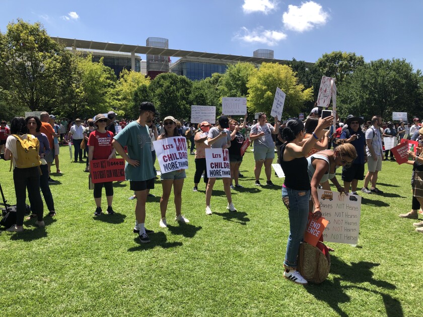 People stand in lines in a park holding signs protesting gun violence