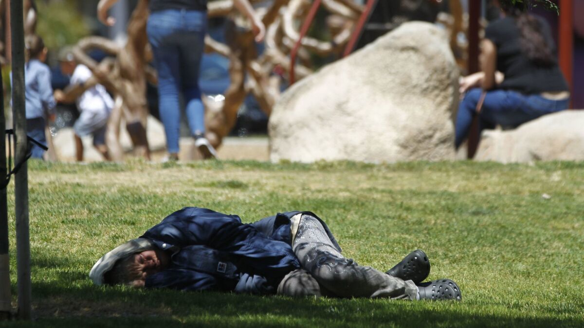 A woman sleeps on the grass as parents watch their children play on a playground at Grape Day Park in Escondido.
