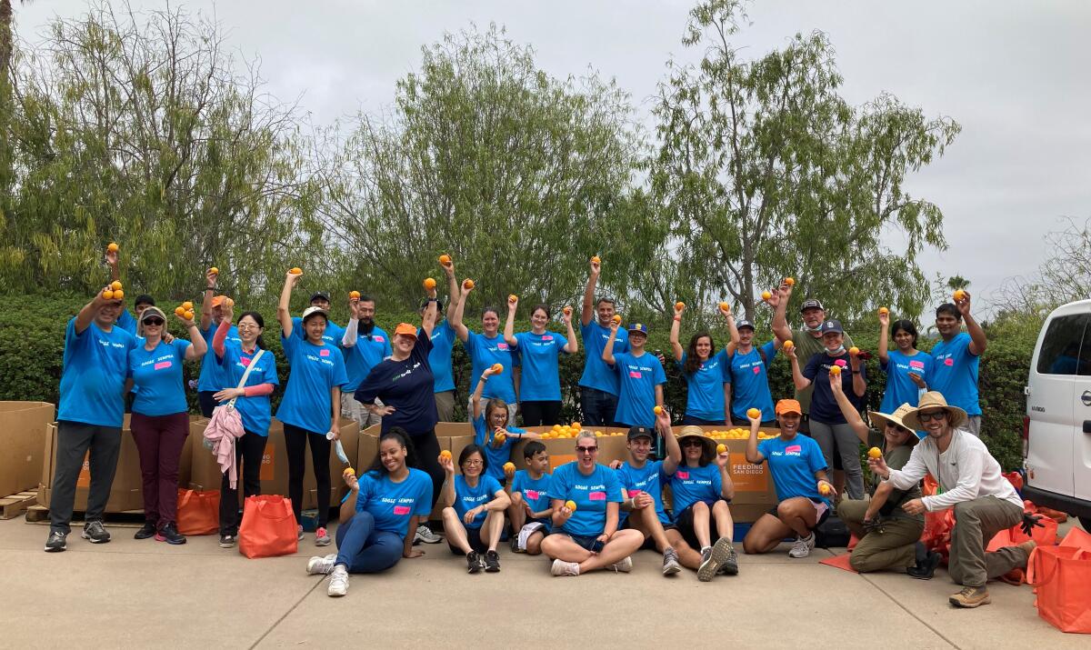 Volunteers at the July 25 harvesting event in Rancho Santa Fe.