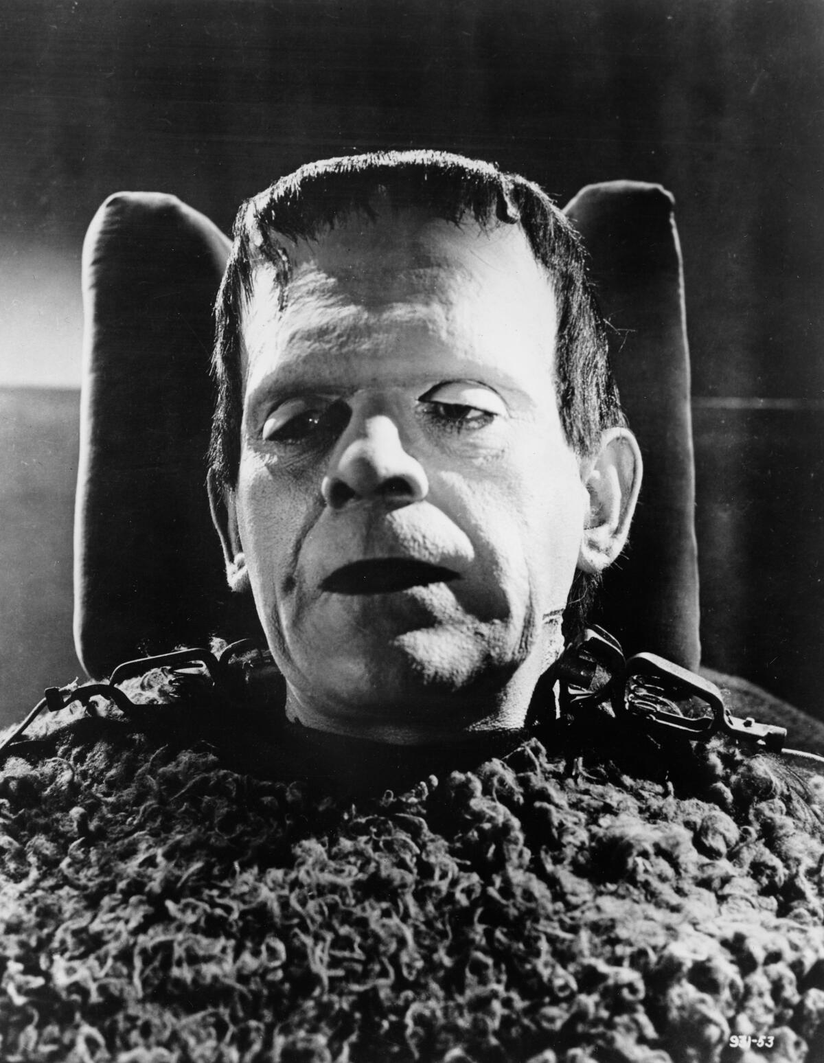 A closeup black-and-white photo of Boris Karloff as Frankenstein's Monster.