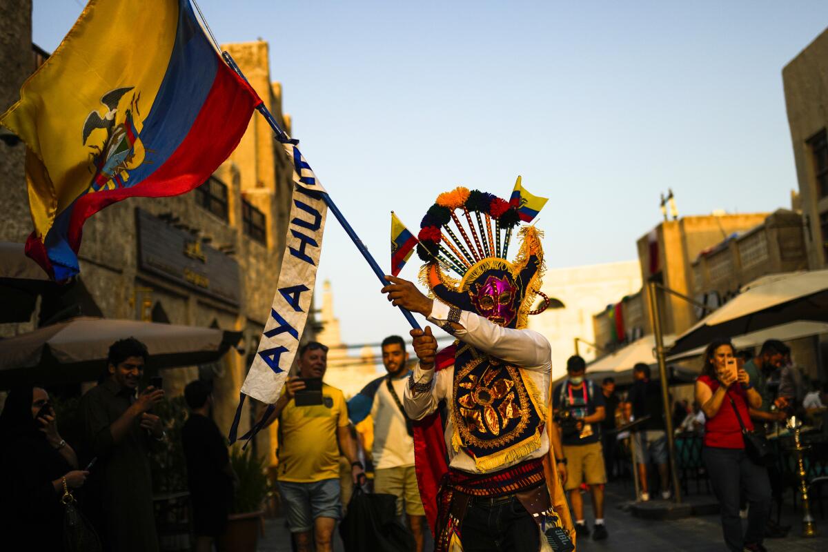 An Ecuador supporter waves an Ec