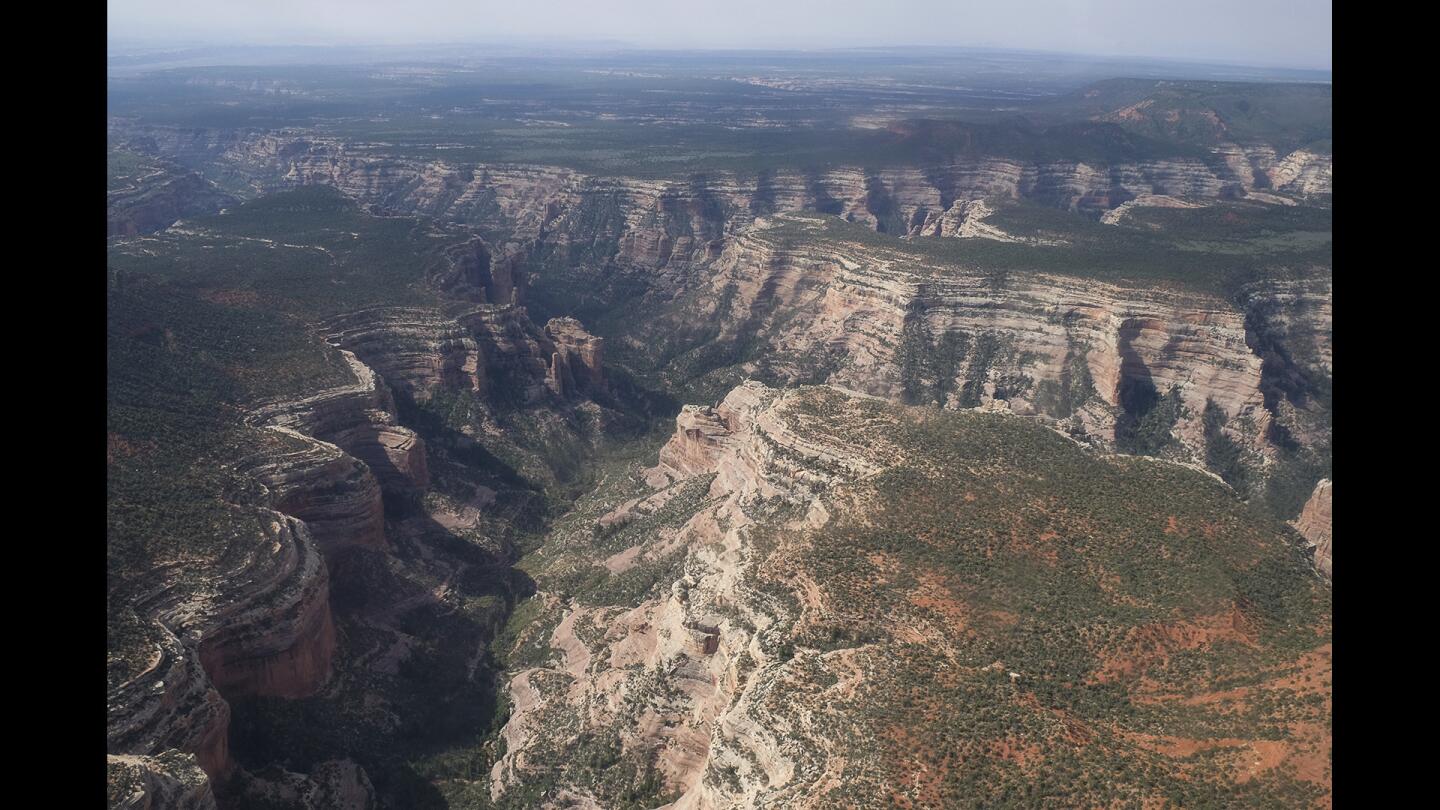 A view of Arch Canyon within Bears Ears National Monument in Utah. Native American tribes and environmental groups preparing a legal battle to stop President Donald Trump from dismantling Utah's new national monument will face a tougher challenge than anticipated.