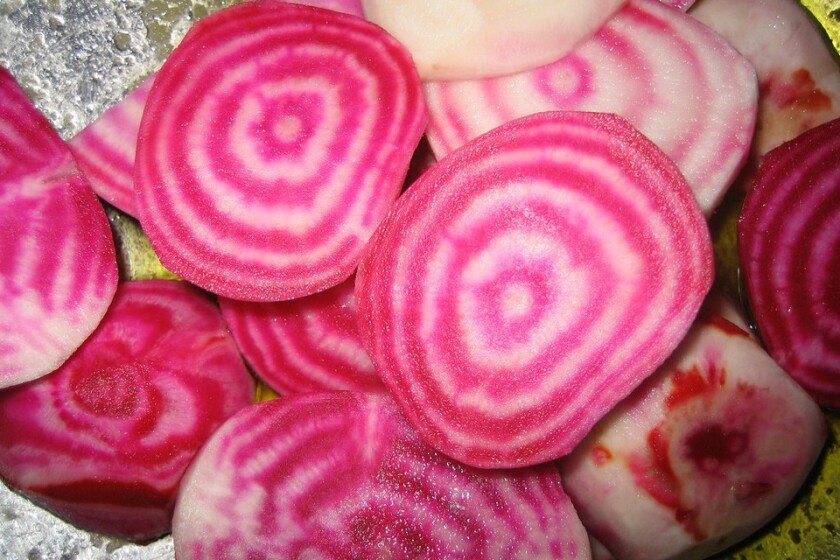 Beet-Chioggia.jpg