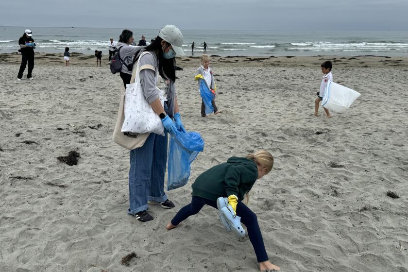 Volunteers pick up trash off the sand at La Jolla Shores during the Creek to Bay Cleanup to celebrate Earth Day.